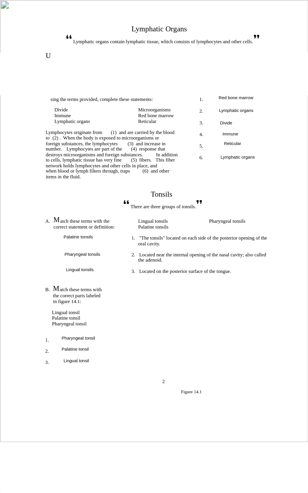 chp14_essques_LYMPHATIC (1).pdf_ds0rnlthko1_page2