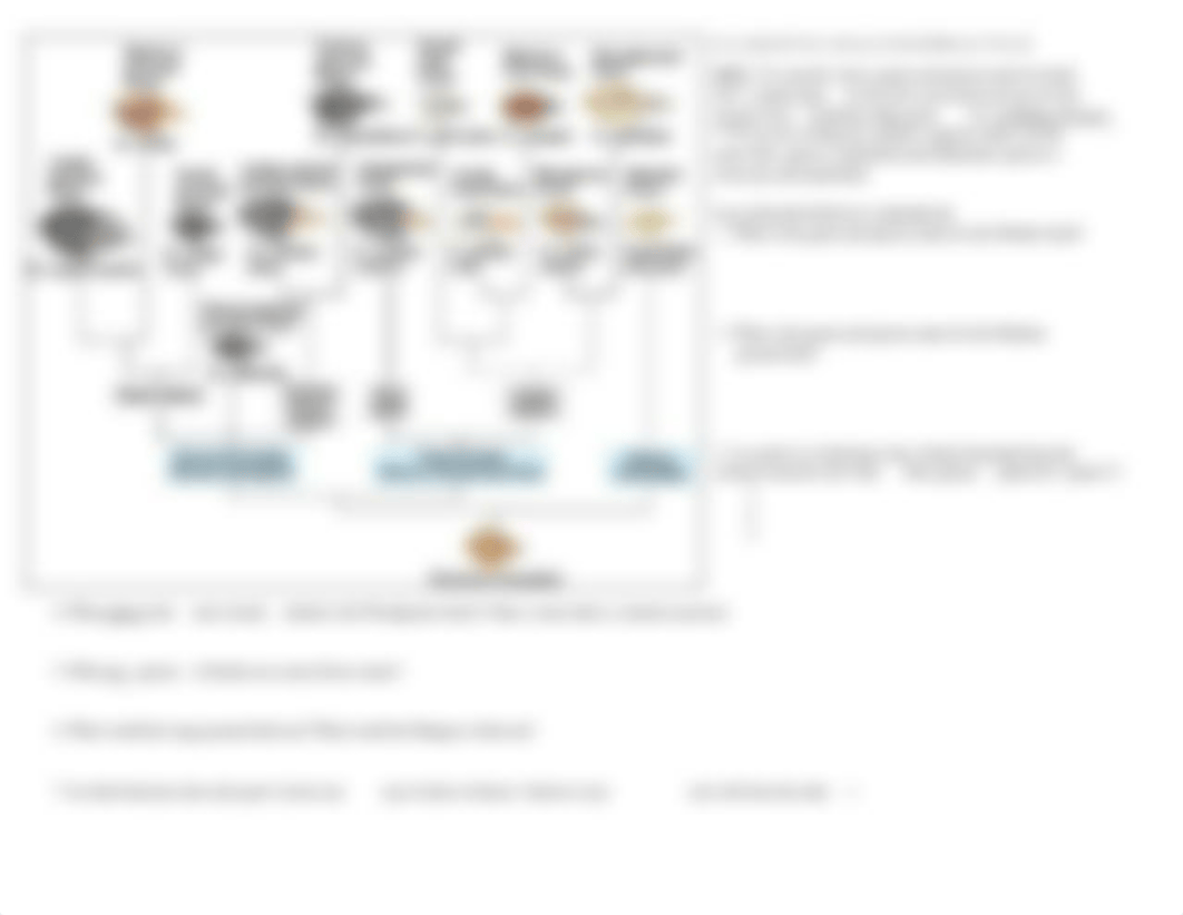 cladogram_activity_2016.pdf_ds0w5i3bp8v_page2