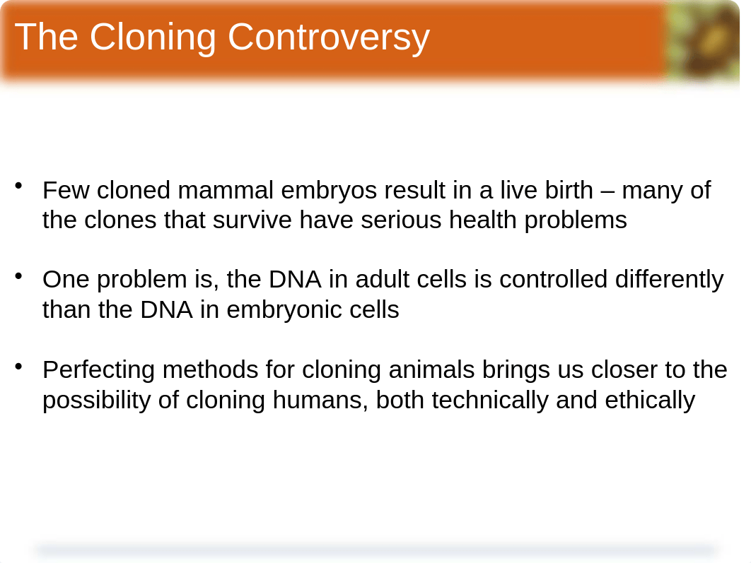 bio 101 chapter8 ppt 13th edition fall 2012_ds14prwtkh8_page5