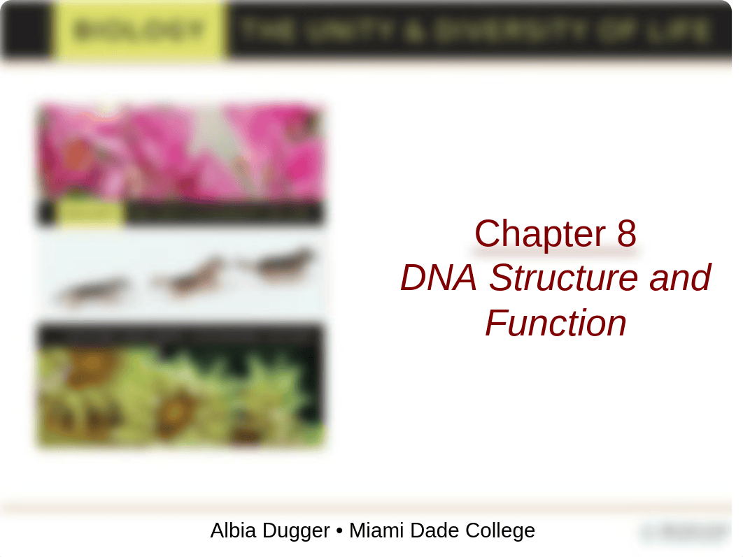 bio 101 chapter8 ppt 13th edition fall 2012_ds14prwtkh8_page1