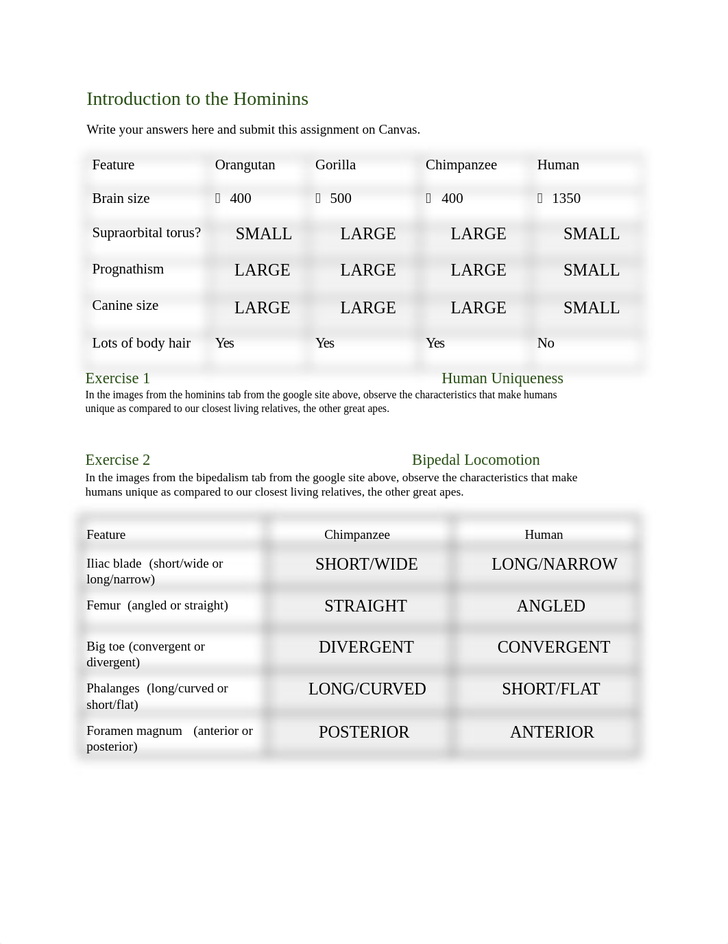 lab 20.docx_ds1arcf7sig_page1