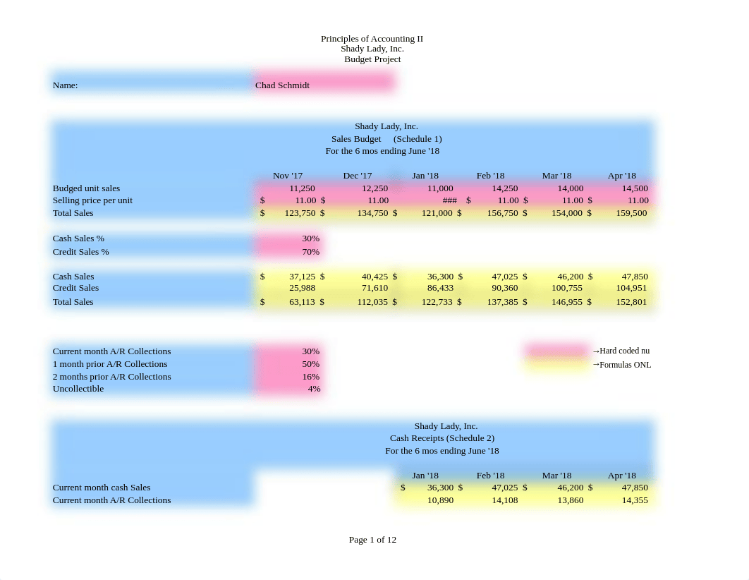 2303 Shady Lady budget template Chad Schmidt Spring 2018.xlsx_ds1k66lqkla_page1