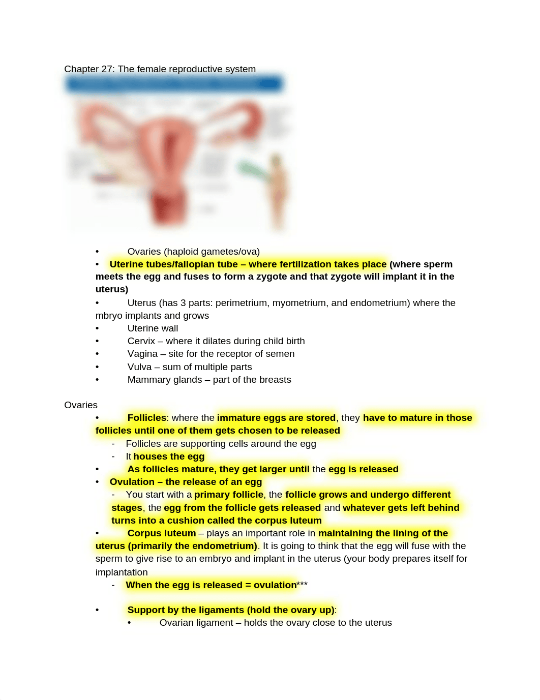 Chapter 27: The female reproductive system_ds1mjliiwjp_page1