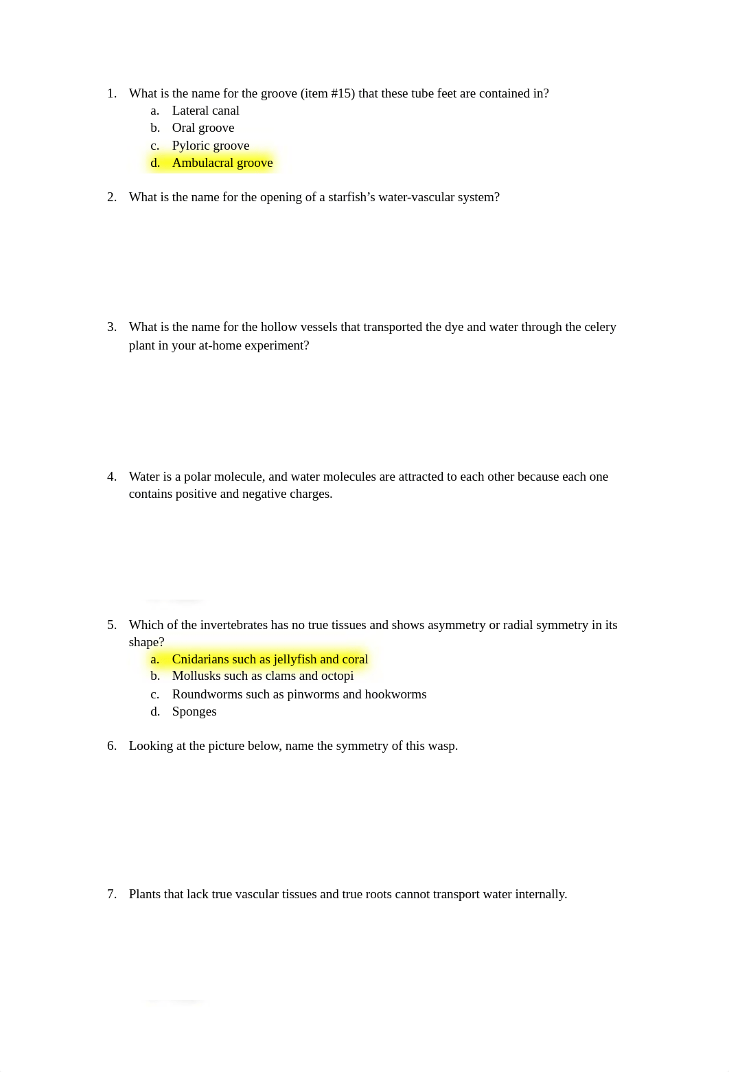 Lab Exam 2.docx_ds1nd7y9522_page1