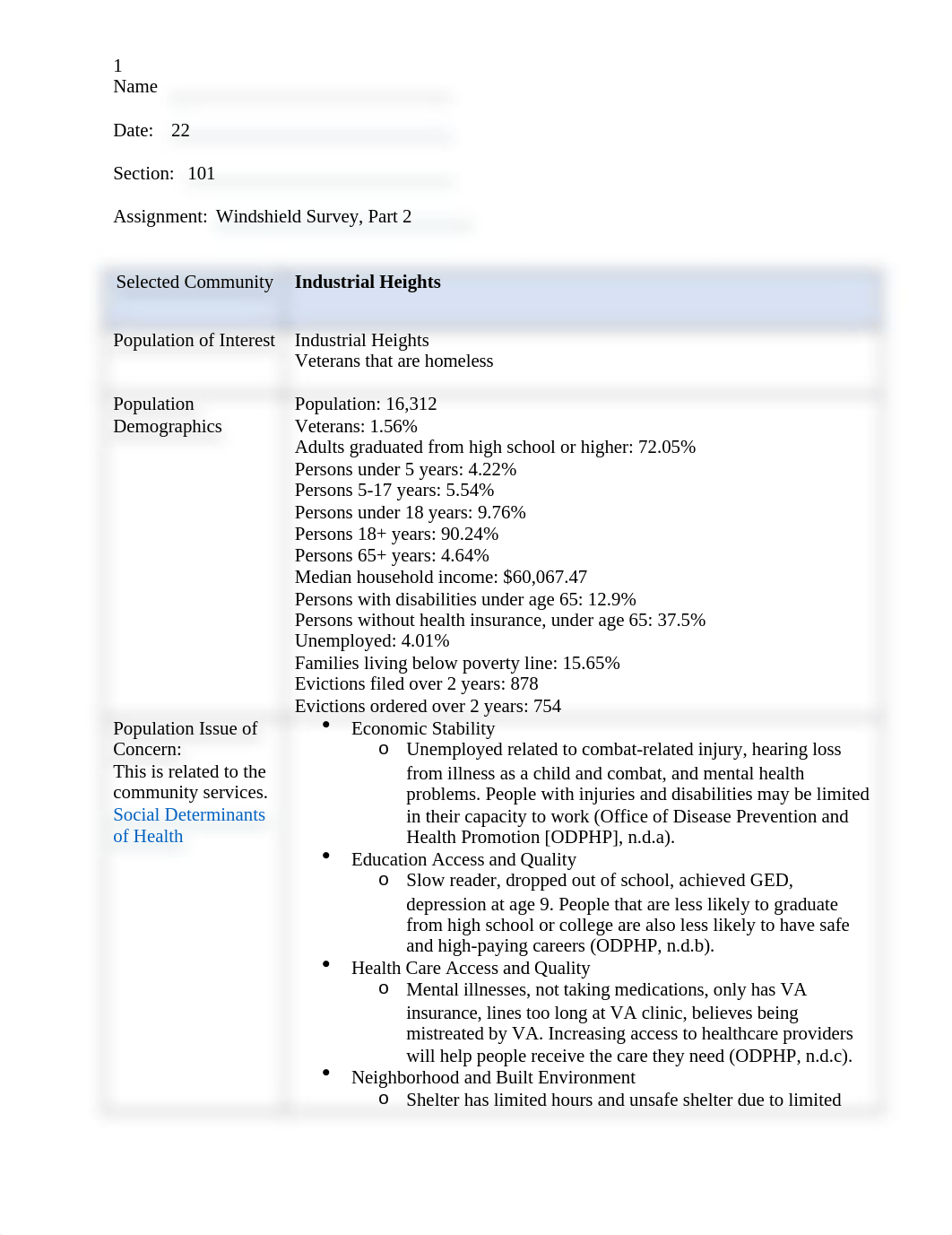 Windshield Survey - Part 2 - 2021Template.docx_ds1vq2zcq84_page1