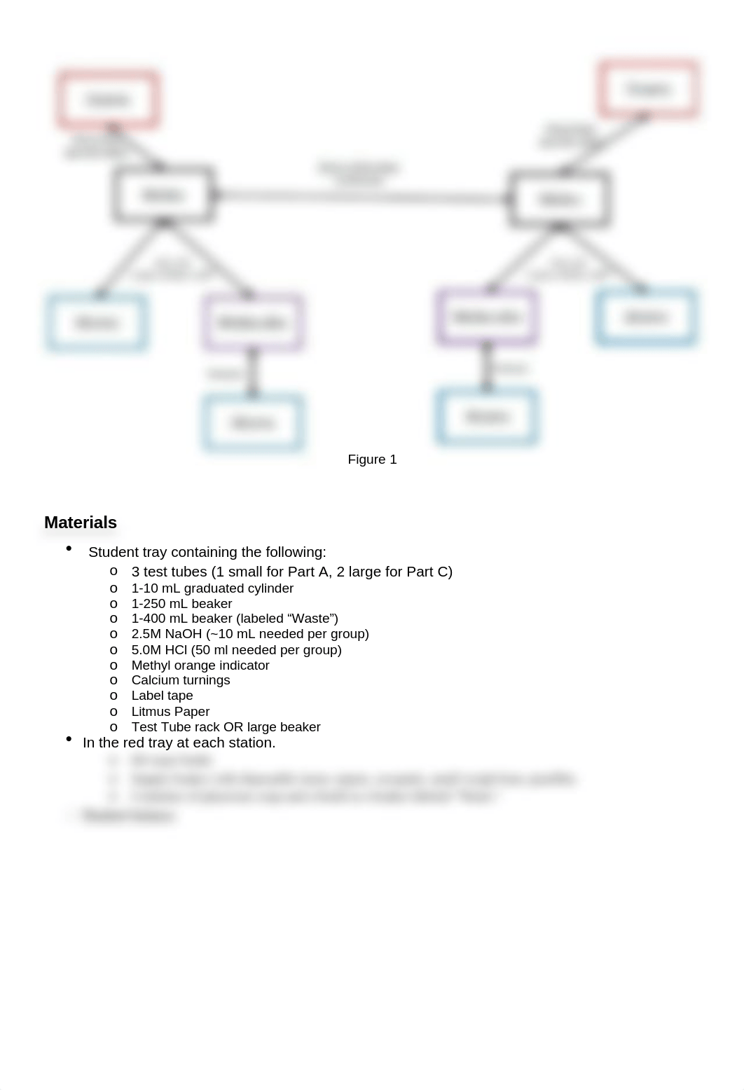 NORTON Lab 4 Stoichiometry of Calcium Handout(3).docx_ds21kluas17_page2