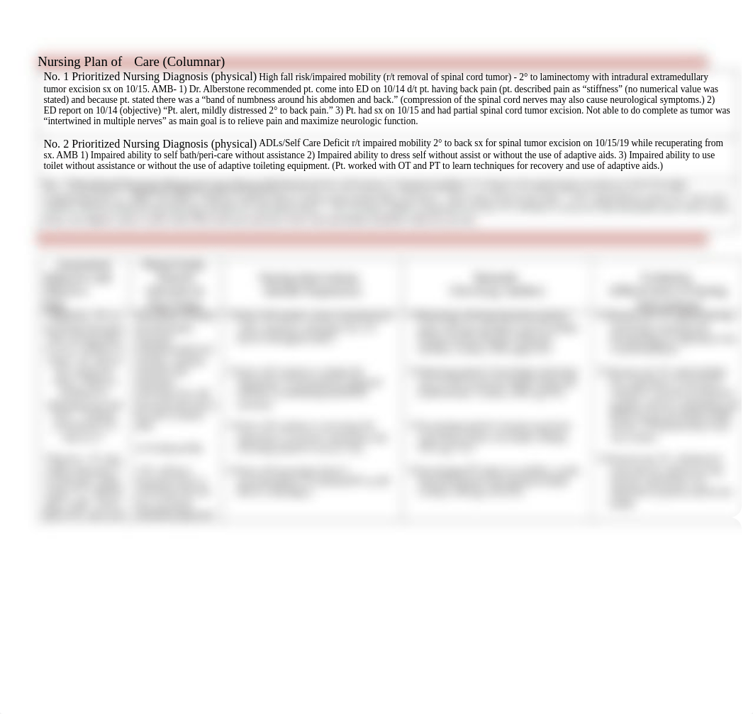 Nursing Plan of  Care Columnar TM 101819.pdf_ds2avihemnf_page1