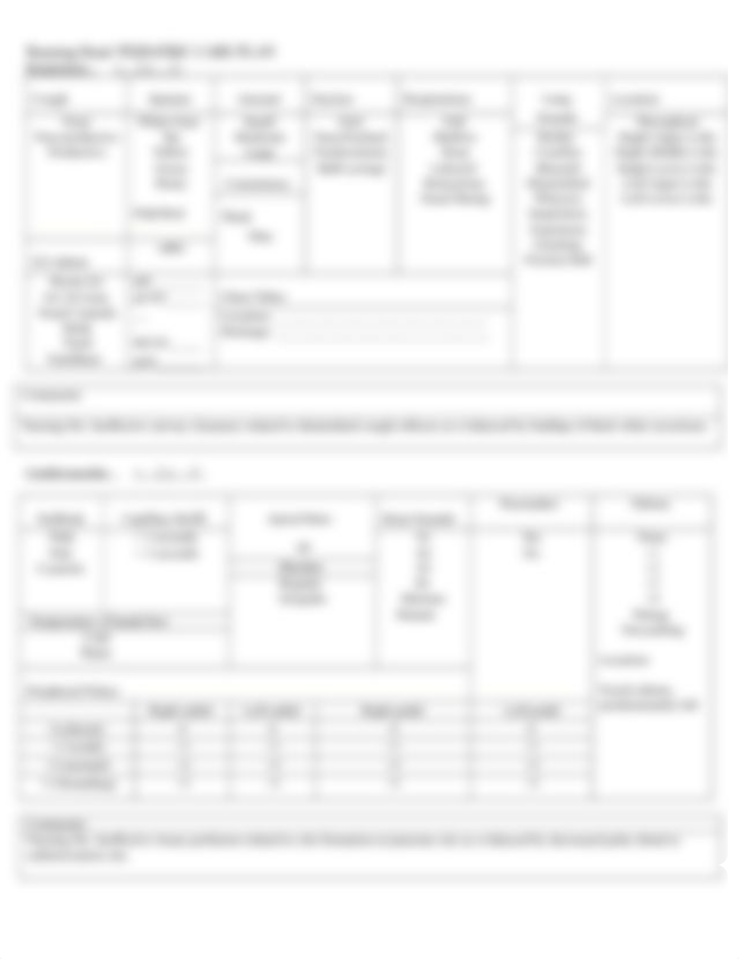 Care Plan N350L Spring 2019.docx_ds2eh48pz5a_page4