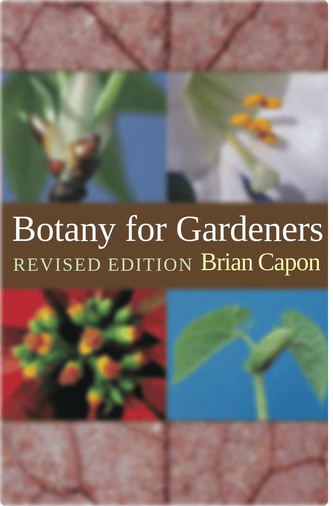 Botany for Gardeners ( PDFDrive ).pdf_ds2eyzz93j0_page1