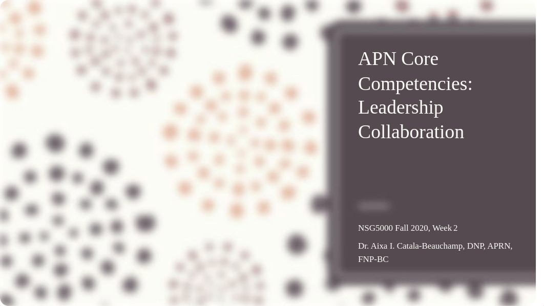 APN Core Competencies_Leadership and Collaboration.pptx_ds350l234gy_page1