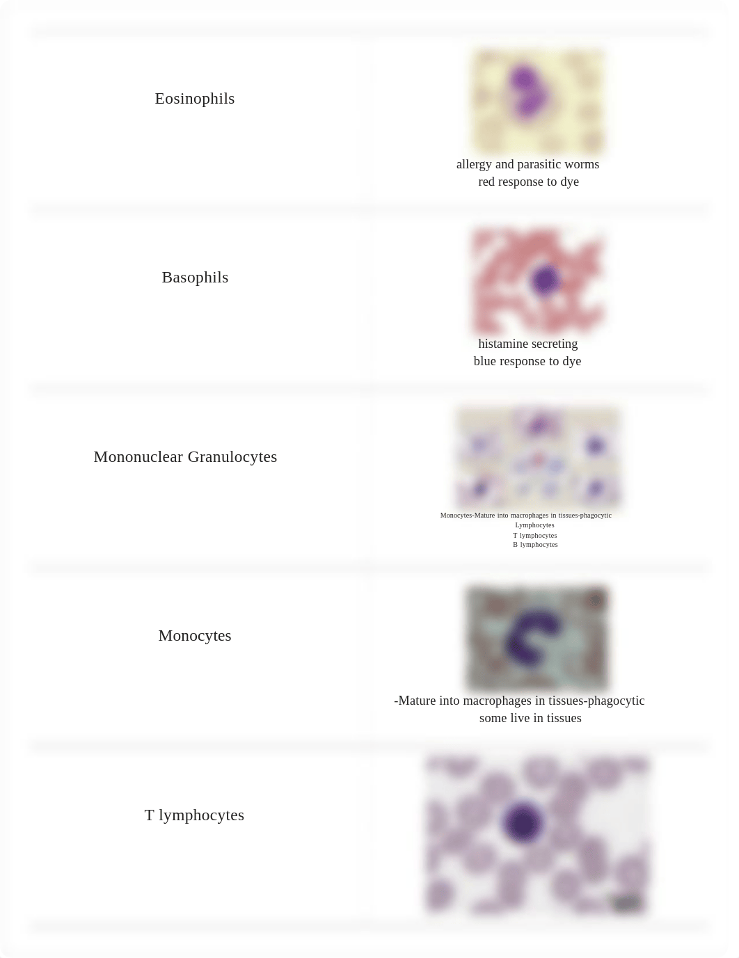 bio 335 exam 3 Hall_ds39b25u6da_page5