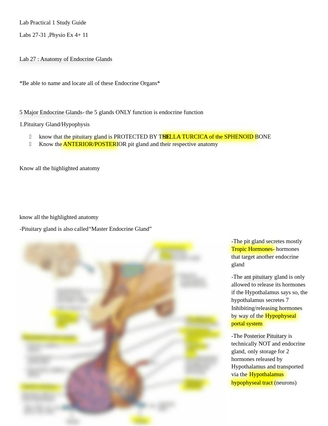 Lab Practical 1.docx_ds3f9yakxrh_page1