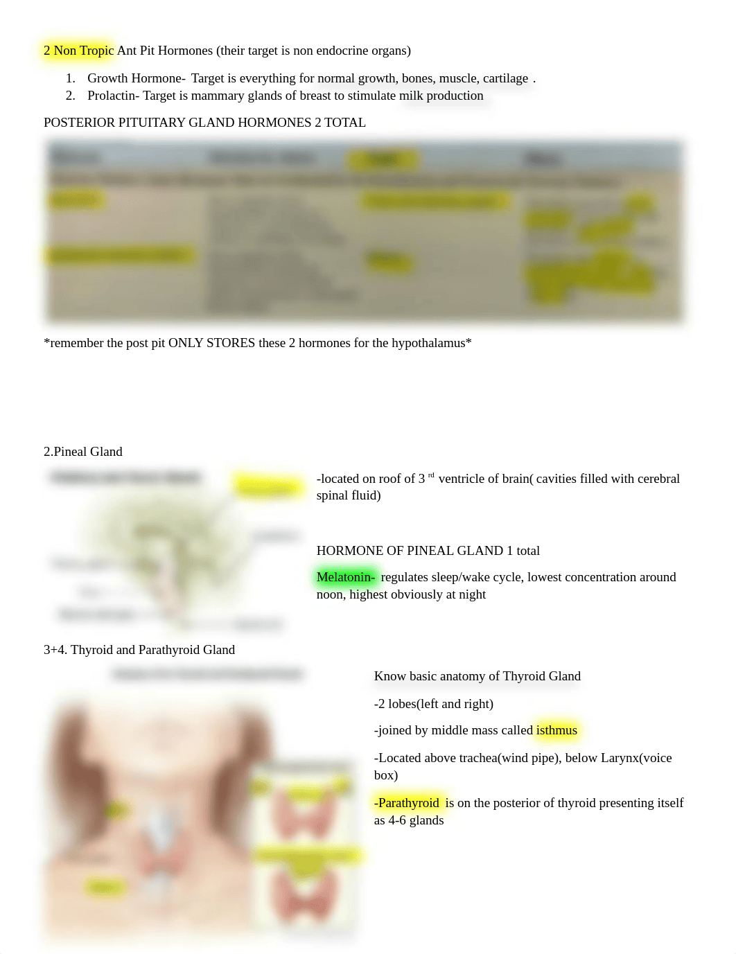 Lab Practical 1.docx_ds3f9yakxrh_page3