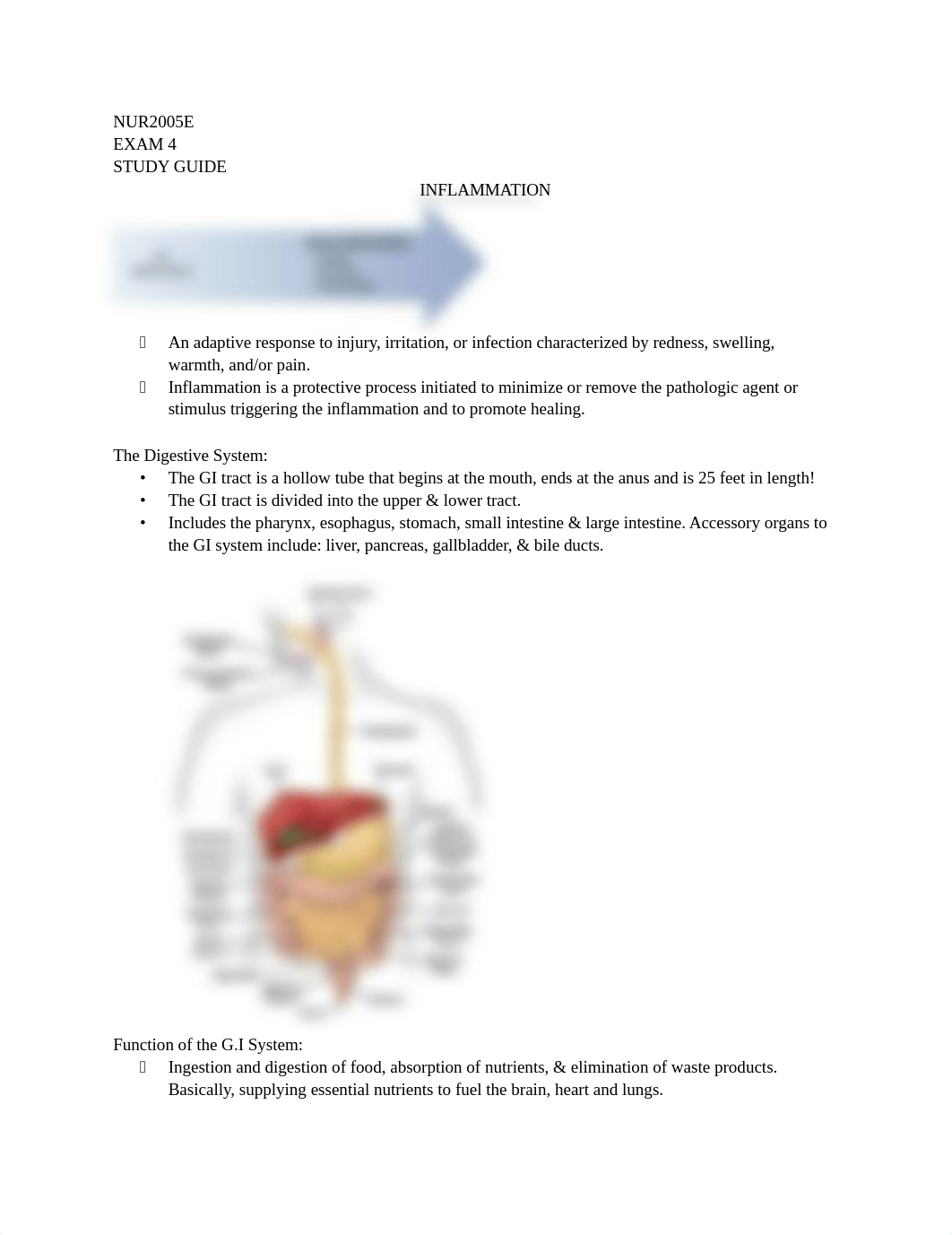 exam 4 inflammation study guide.docx_ds3kzuky0jf_page1