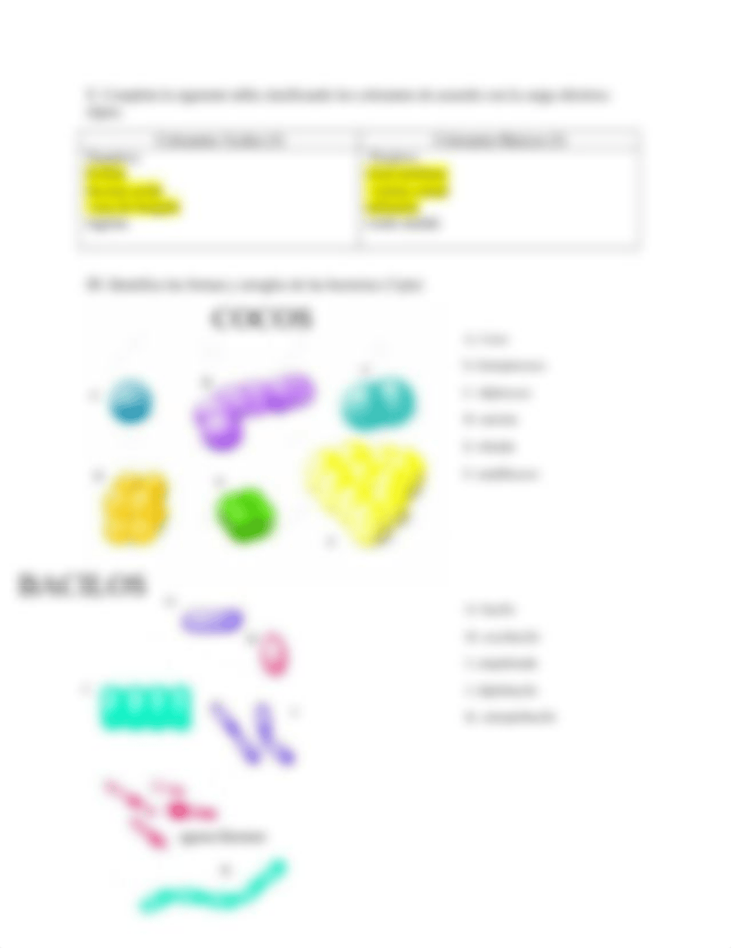 Reporte #2 Frotis Bacteriano y Tincion Simple Fa-20.docx_ds3mwlr5fef_page2