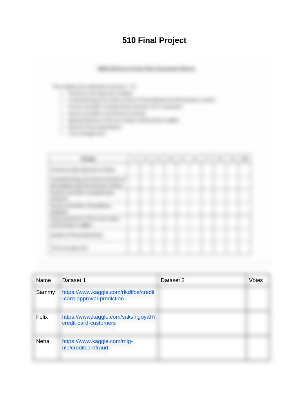 MSIS 510 Team Project.docx_ds3n0gwq8xz_page1