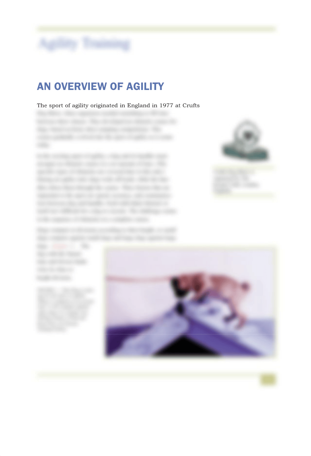 Study Unit Agility Training_ds3u4pv2riv_page5