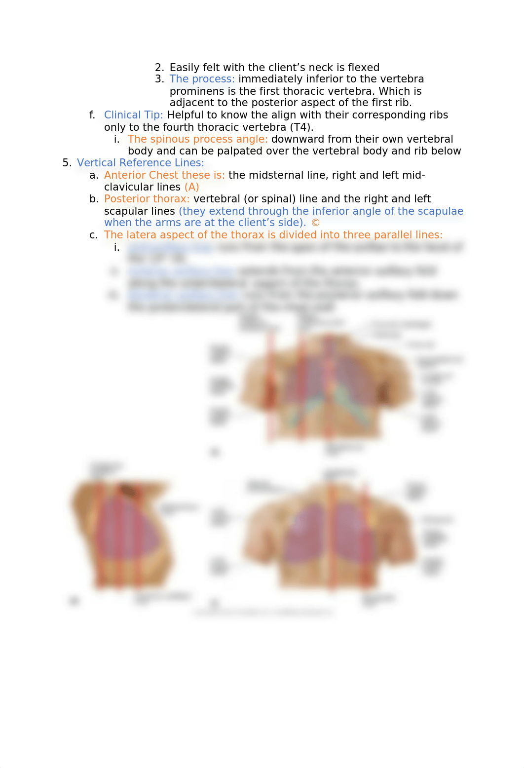 Lungs.docx_ds3uz44xr7q_page3