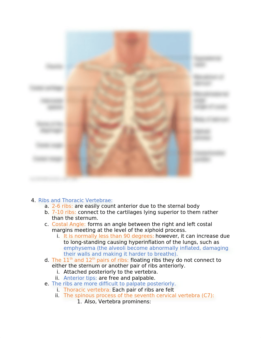 Lungs.docx_ds3uz44xr7q_page2