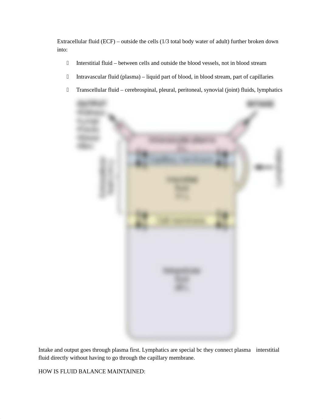 FOUNDATIONS FLUID ACID ELECTROLYTE IMBALANCE.docx_ds41p6gbw2m_page2