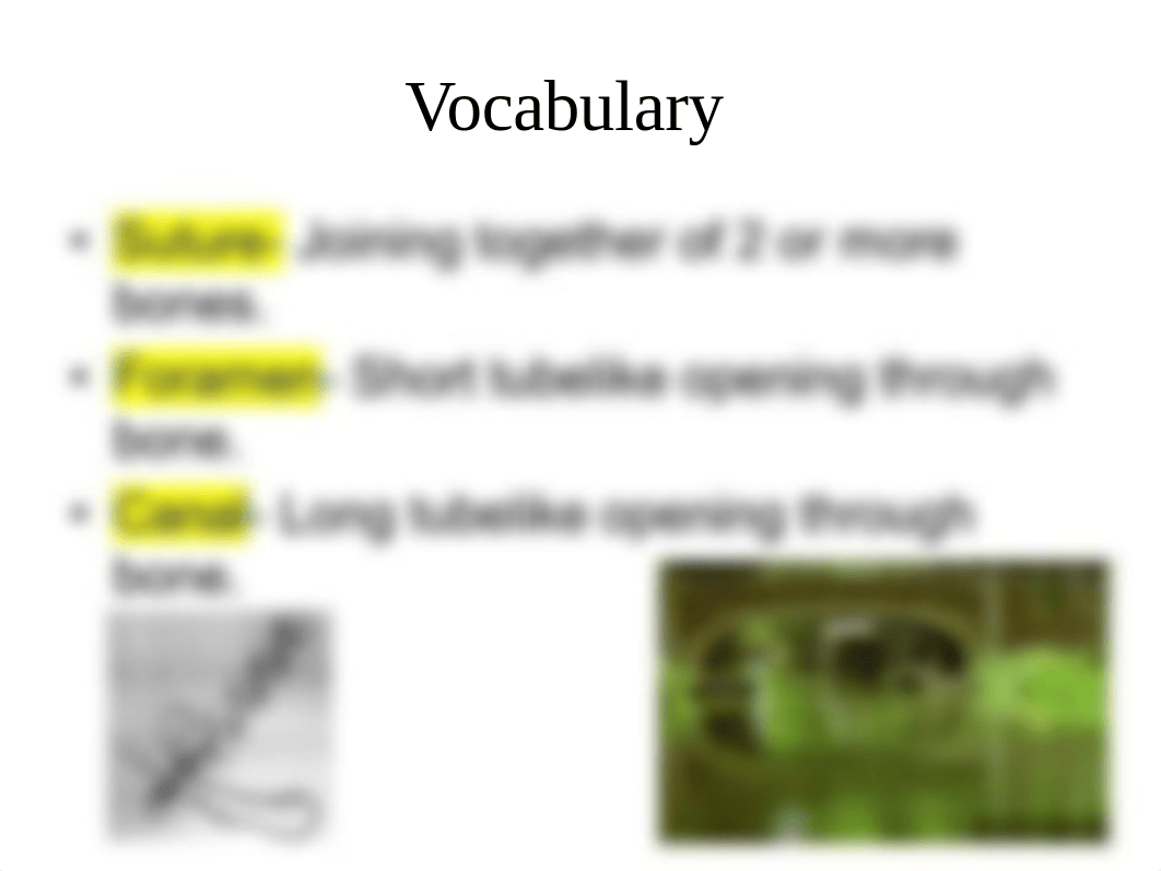 Exam #1 Anatomy Lecture Chapter 26.ppt_ds44j57ivlg_page4