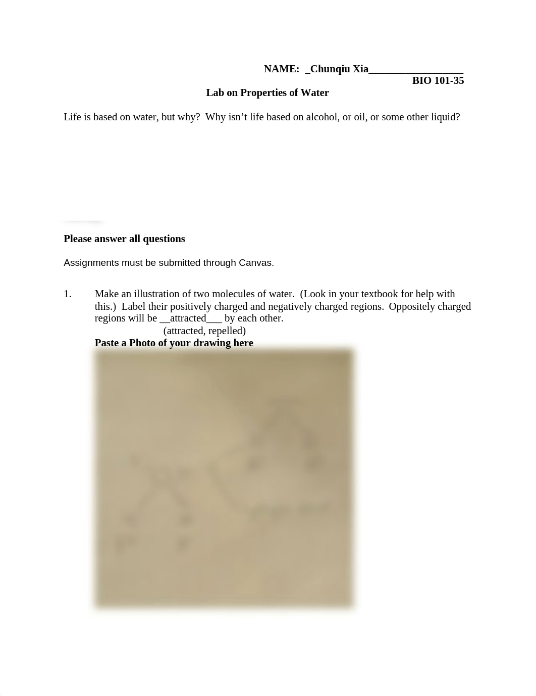 Bio Lab on Properties of Water.doc_ds44kk3ptt7_page1