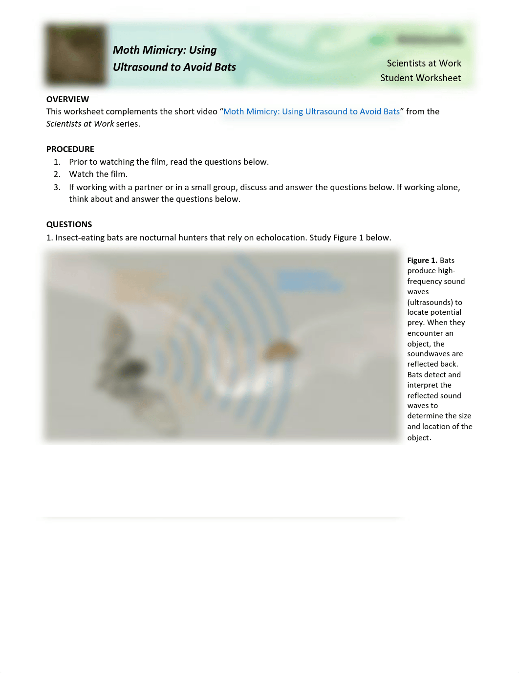 MothMimicry-StudentWS-SW-1.pdf_ds45uzpo8o9_page1