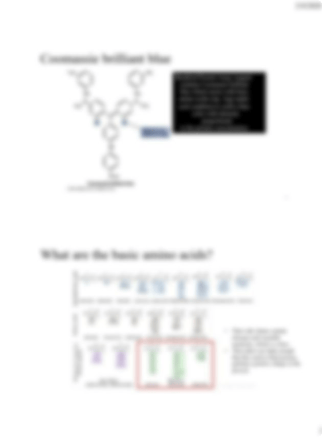 Lab 2 Bradford Protein Assay.pdf_ds469b01gnu_page2