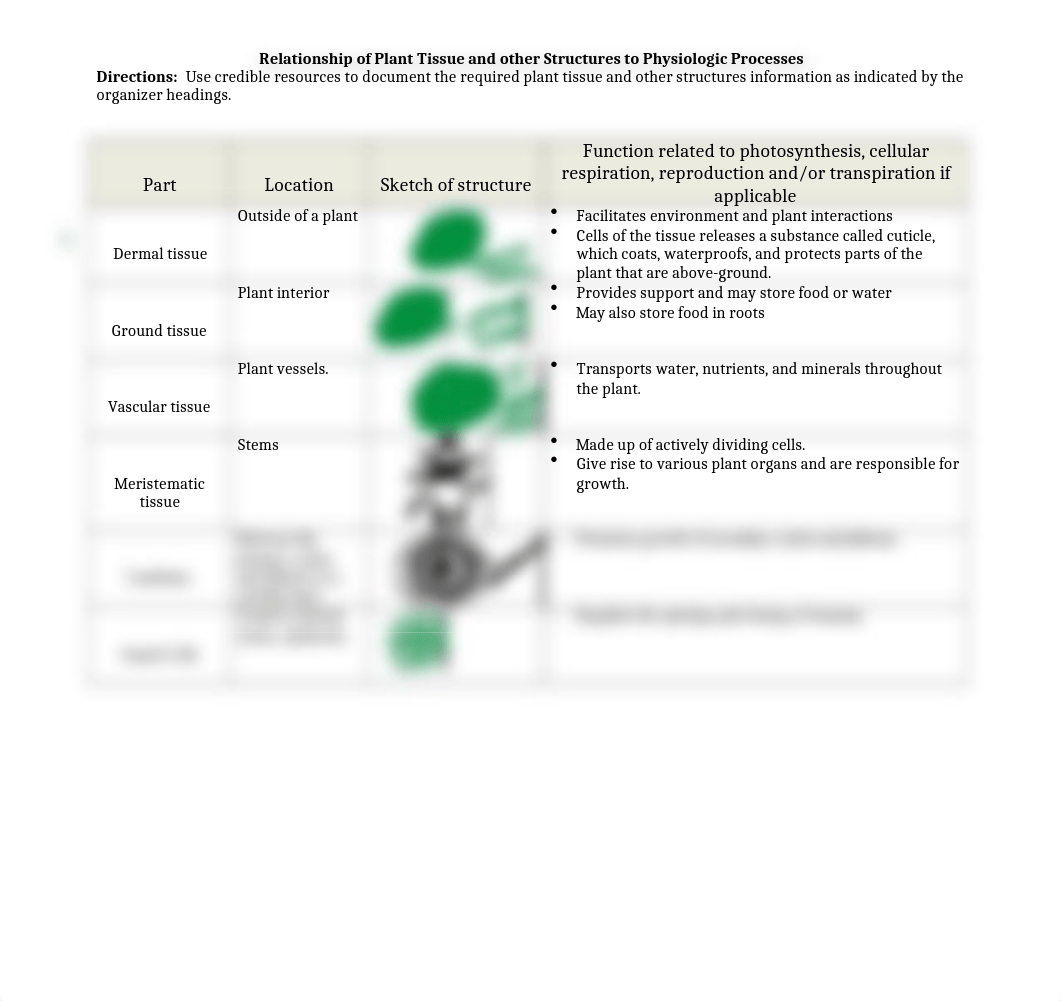 Plant Cells Tissues and other Structures Organizer Regular.docx_ds4ag253gpl_page1