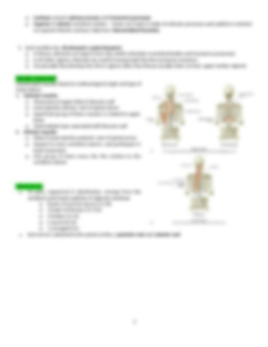 ****Gross exam 1, ch 2(1)_ds4dmabwcnp_page3