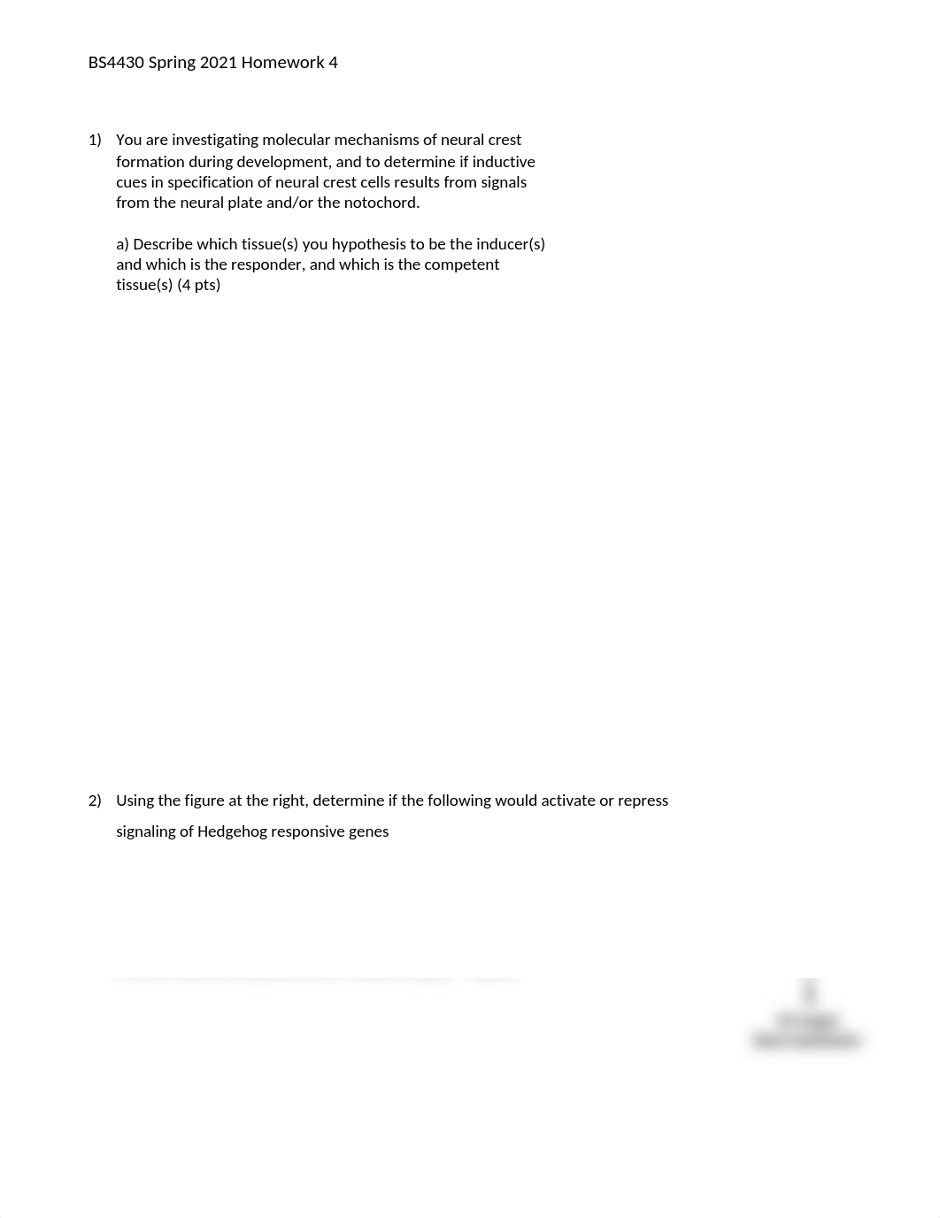 DevBio_HW4.docx_ds4govfff34_page1