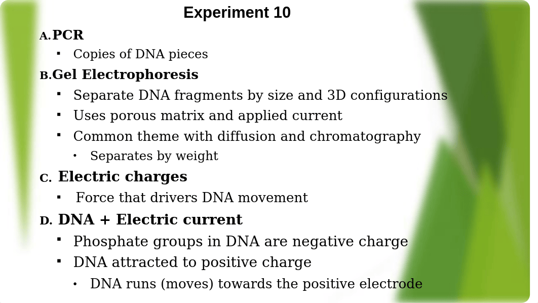 BIOL211L Lab 10 Vocabulary Agarose-Gel Electrophoresis.pptx_ds4hyrc6zn5_page1