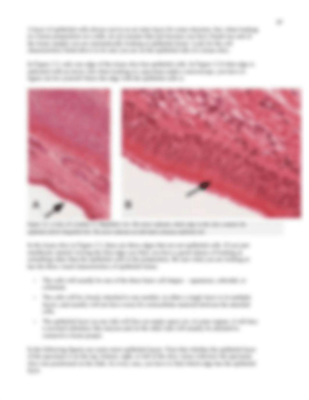 3 BIOL 250 Lab 3 - Histology.pdf_ds4mw194l63_page3