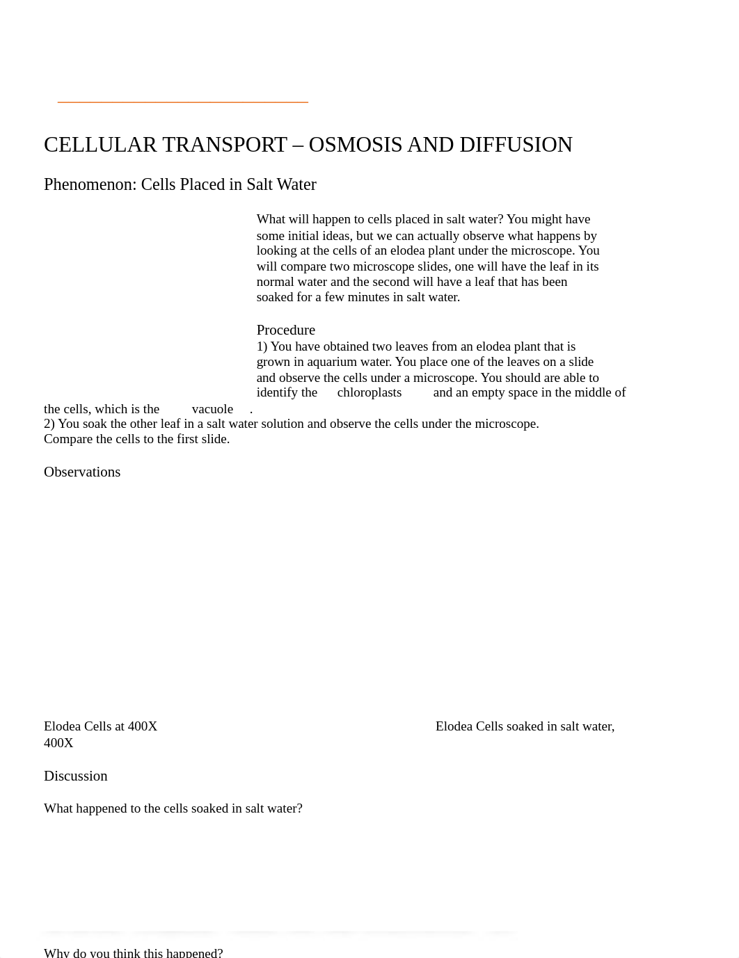 BIOLOGY SUMMER CELL TRANSPORT.docx_ds4stcvor7g_page1