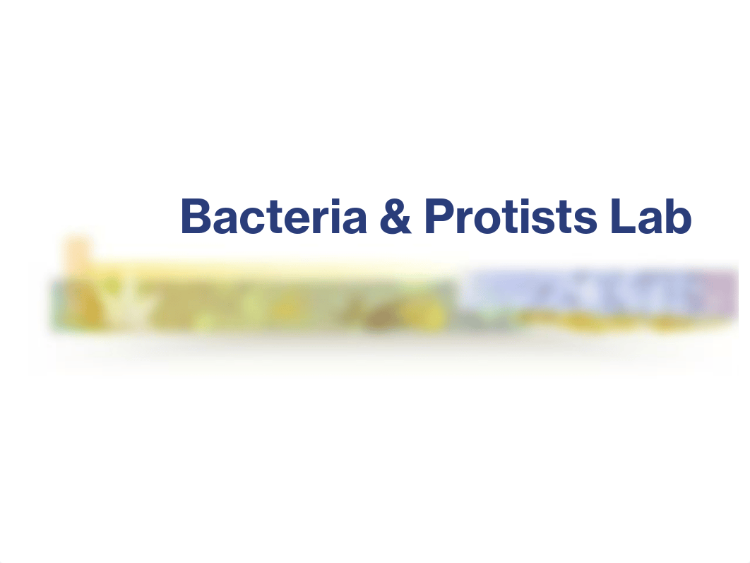 Lab 2 Bacteria & Protists_ds5gjhwgp97_page1