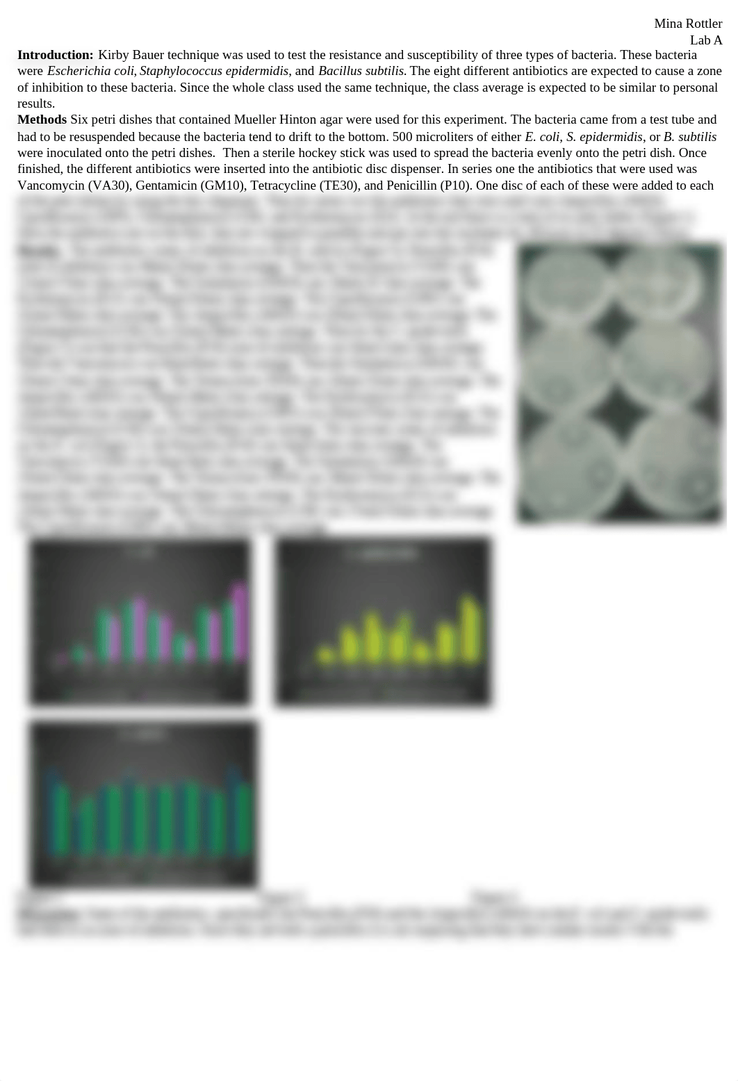 Micro lab report Kirby bauer.docx_ds5mpjmgmew_page1