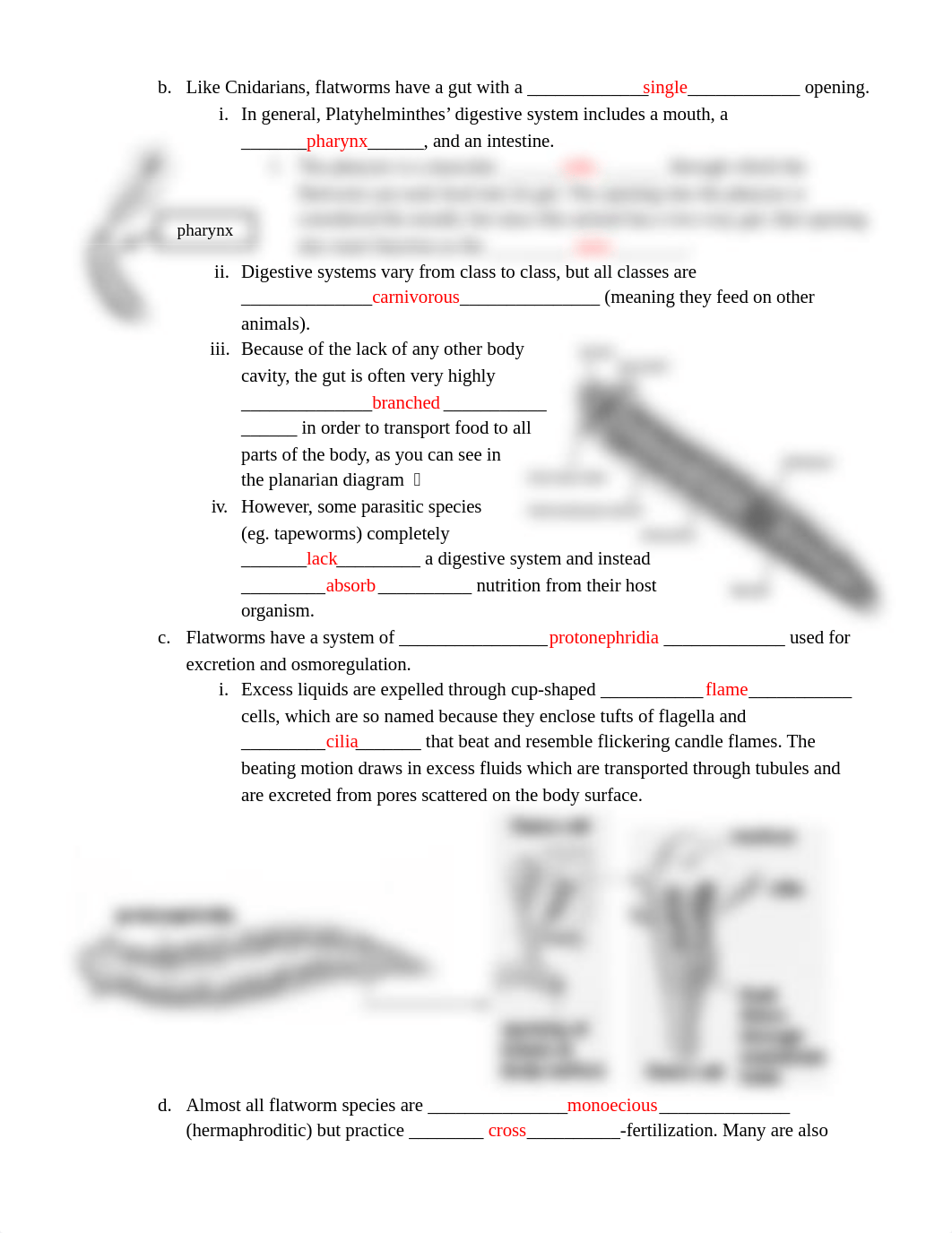 5 _Flatworm Roundworm Notes _ student handout.docx_ds5nqxv81r9_page2