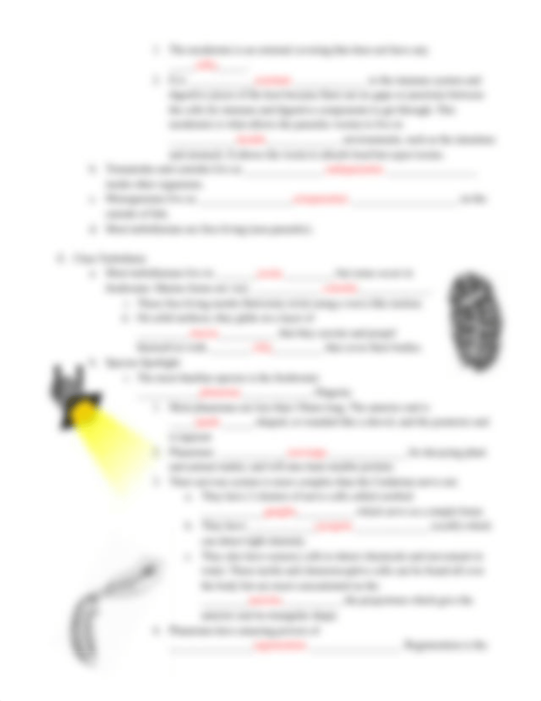 5 _Flatworm Roundworm Notes _ student handout.docx_ds5nqxv81r9_page4