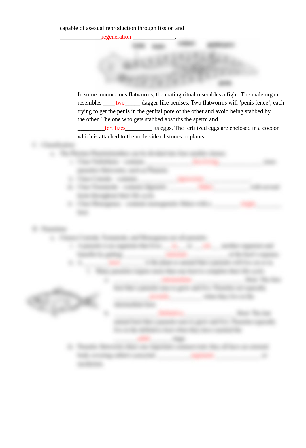 5 _Flatworm Roundworm Notes _ student handout.docx_ds5nqxv81r9_page3