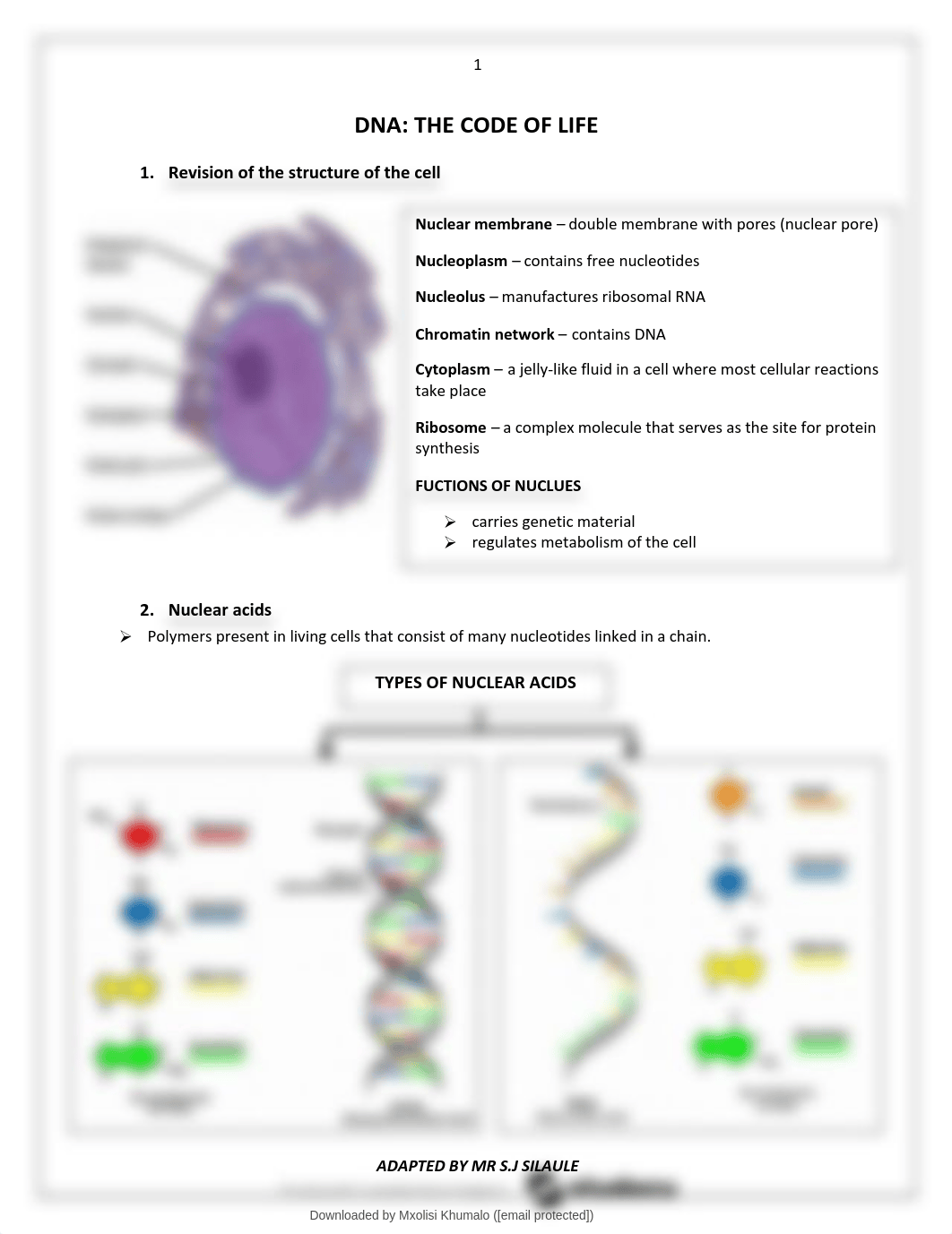 DNA CODE LIFE SCIENCE.pdf_ds68u2ecy2q_page2