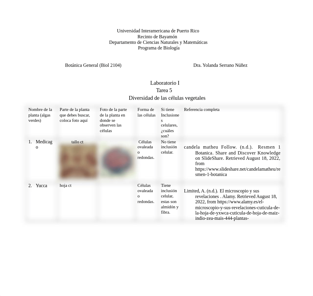 Laboratorio 1 Tarea #5 Tabla Diversidad de las celulas vegetales(1) (1).docx_ds6ffrfq84h_page1