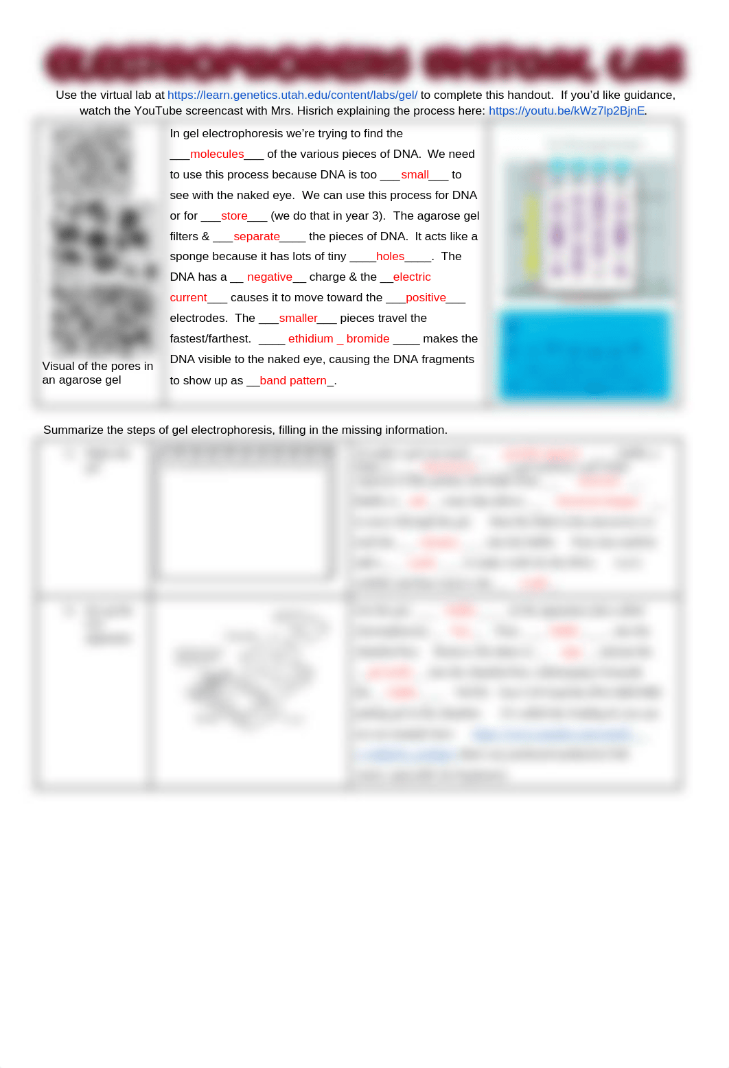 Gel Electrophoresis Virtual Lab on 2022-03-10 22_58_05.docx_ds6fqydygzs_page1