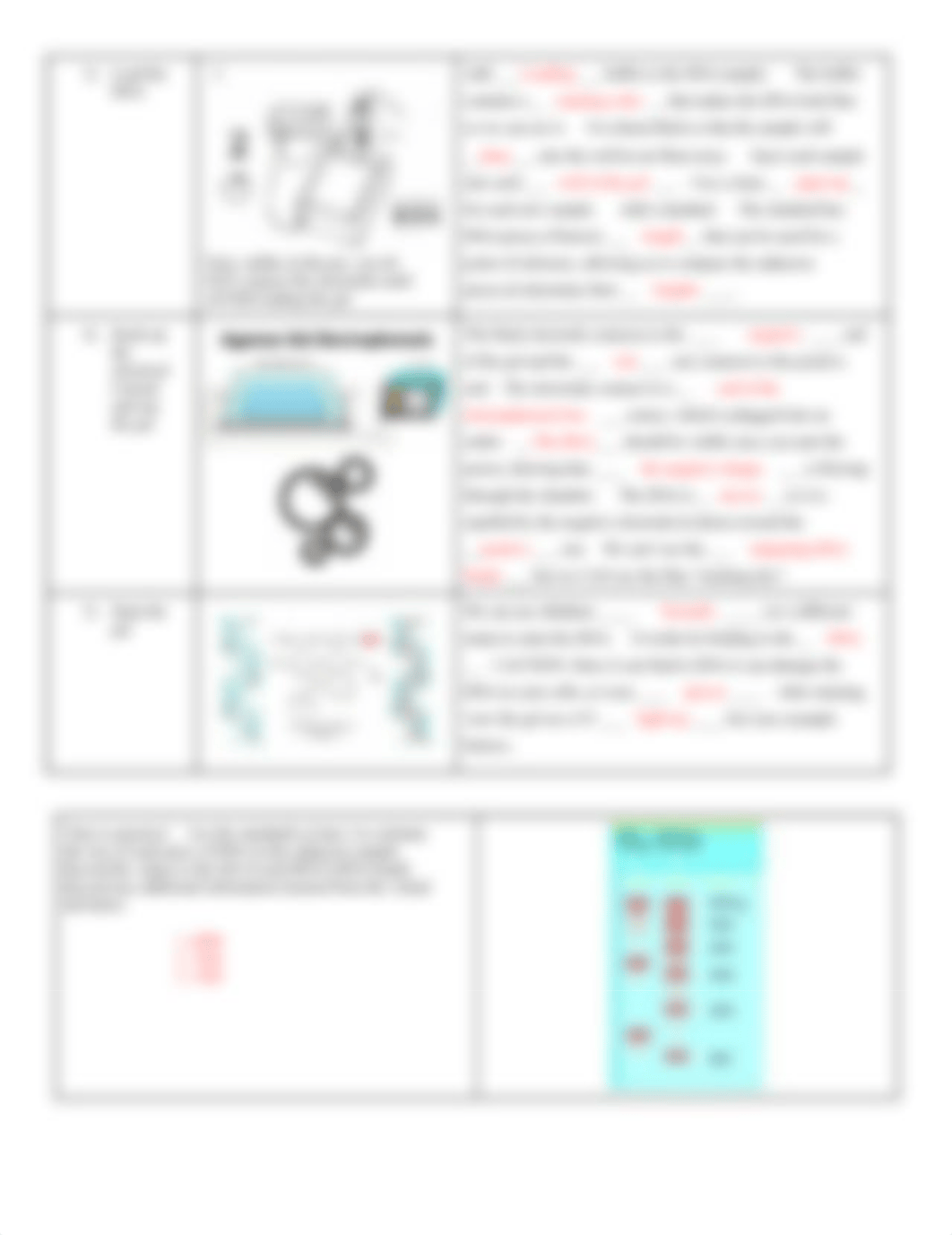 Gel Electrophoresis Virtual Lab on 2022-03-10 22_58_05.docx_ds6fqydygzs_page2