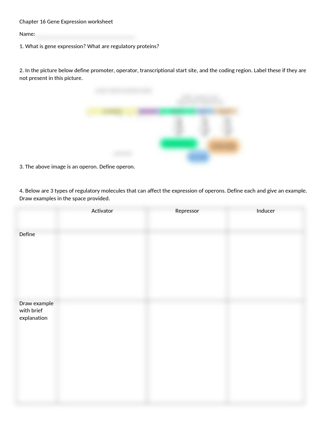 Chapter 16 Gene Expression worksheet (1).docx_ds6mdk4nxgt_page1