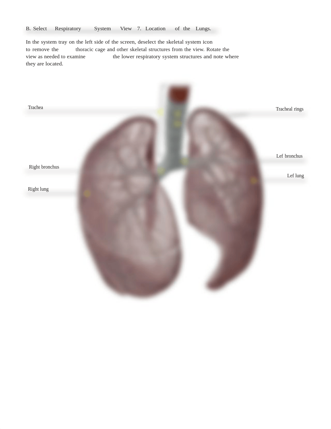 Lab 5.docx_ds6mrkytukr_page5