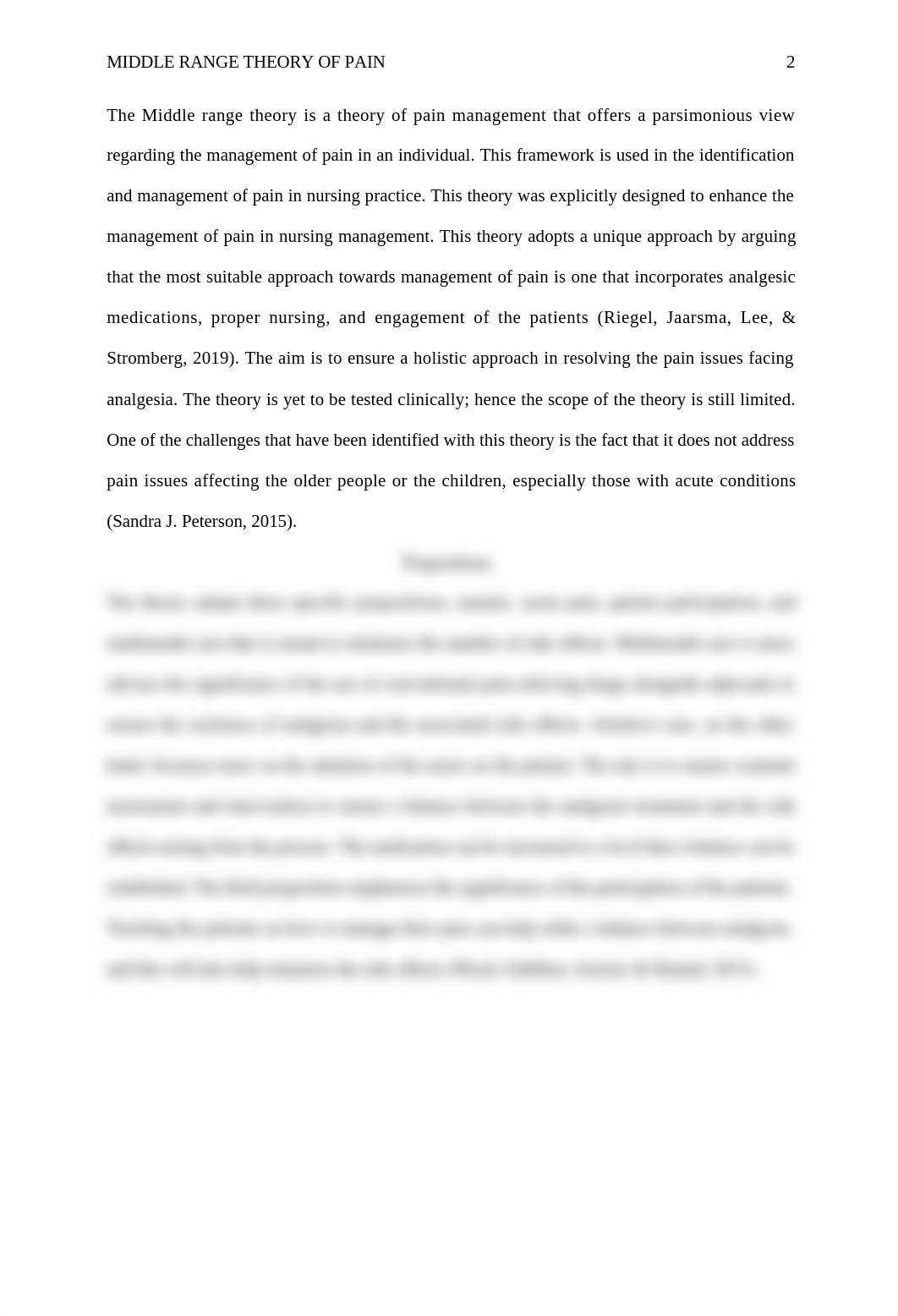 The theory of balance between analgesia and side effects.docx_ds6uutgijv6_page2