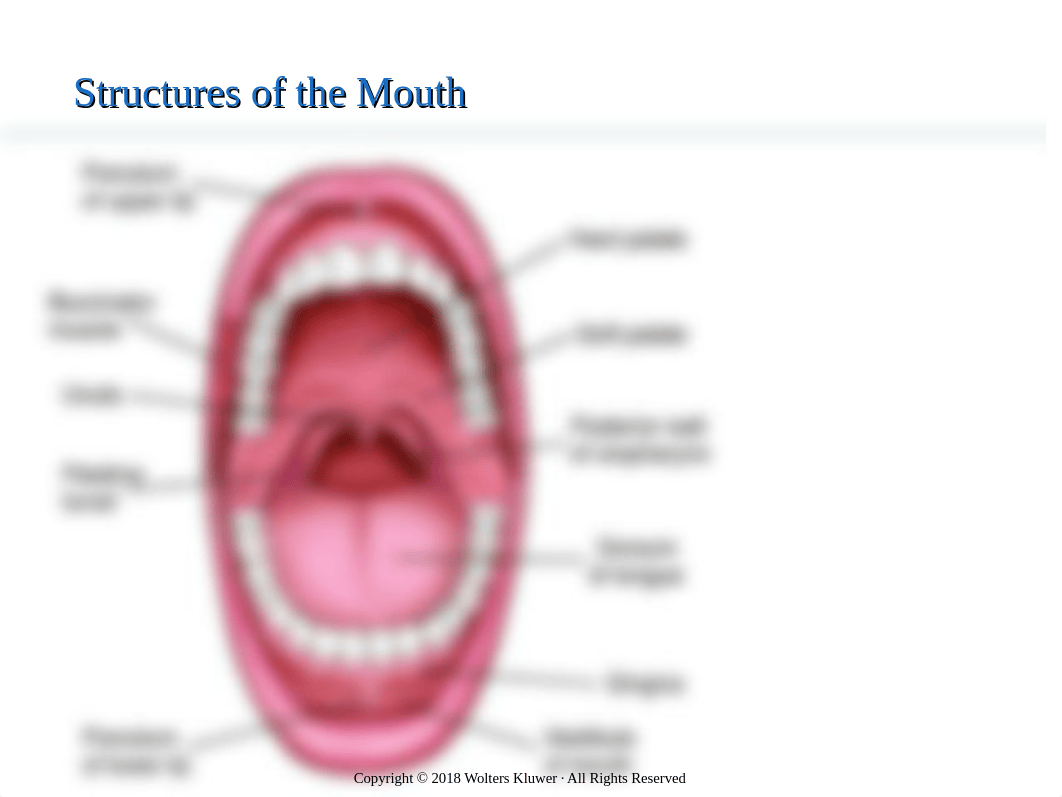 NURS346Chapter45 - oral disorders .pptx_ds71r0w9byu_page3