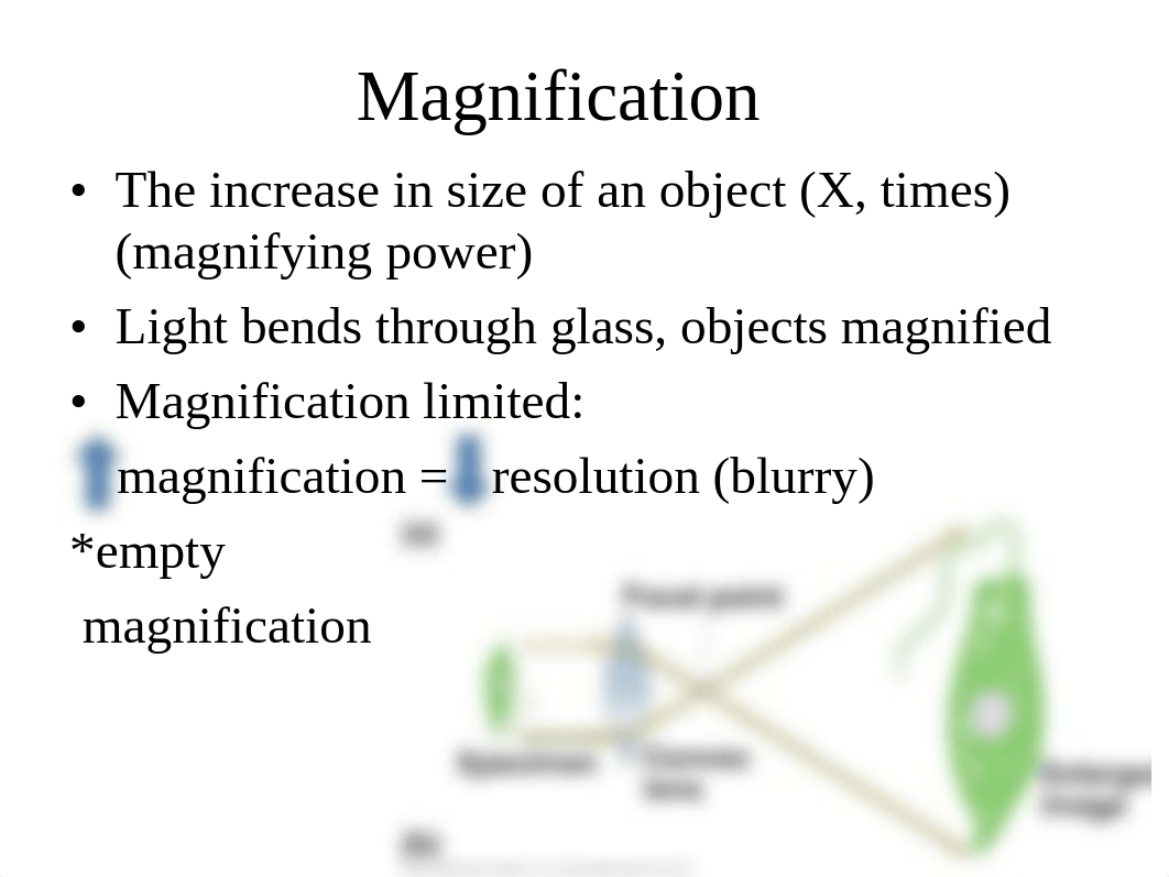 Lab 2 Microscopy_ds7283z8ux6_page3