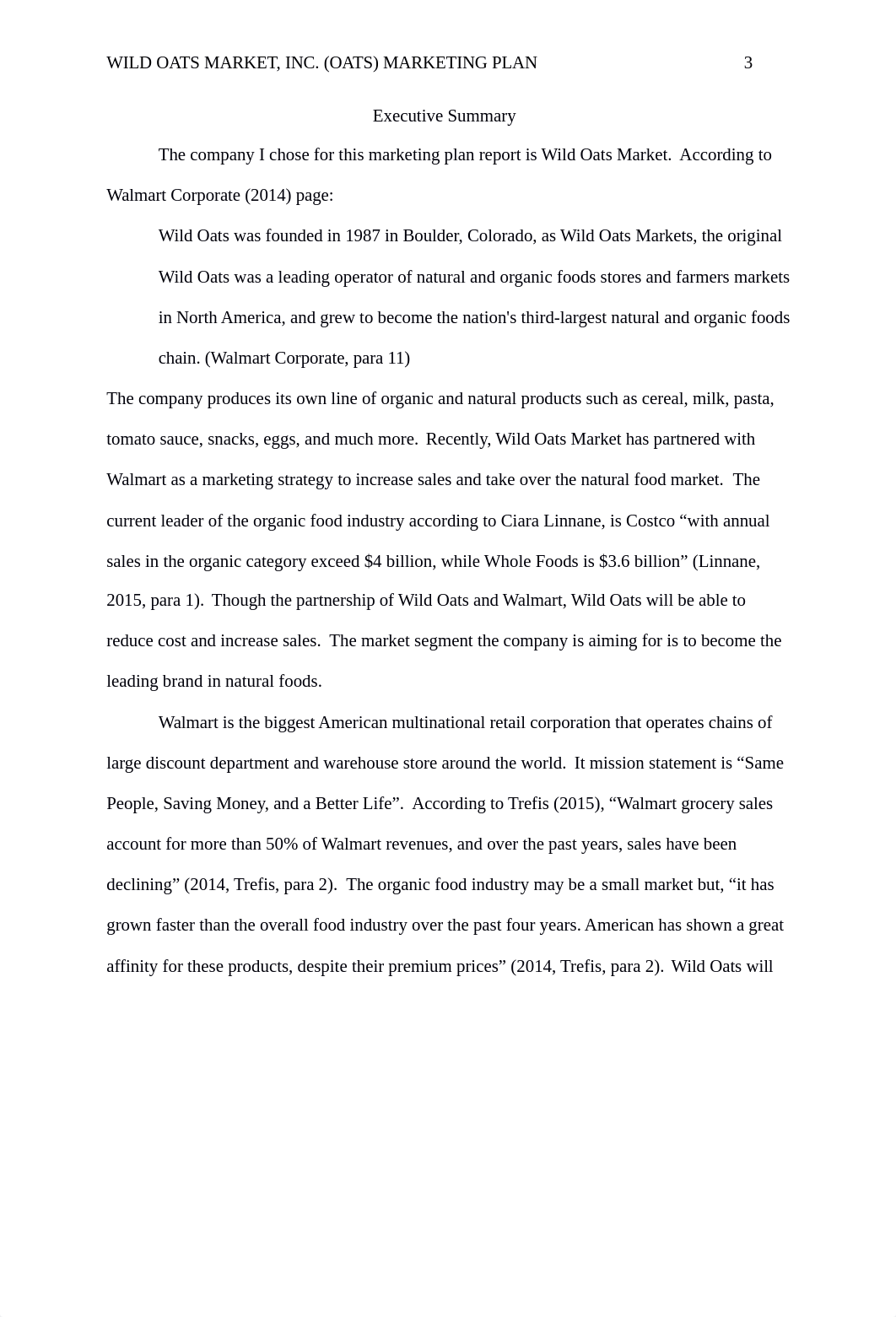 Busa 300 Third draft Project_ds7428dca69_page3