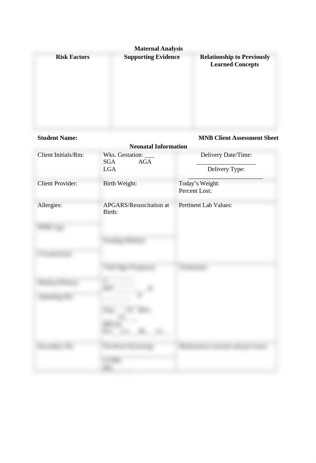 Maternal Newborn Assessment template (2).docx_ds748px7zab_page2